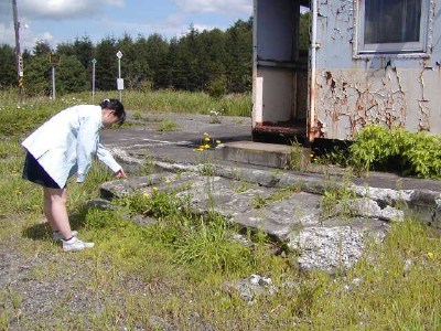 �����@�₷����